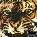 Eye of the tiger – Survivor