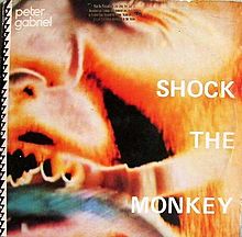 Shock the monkey – Peter Gabriel