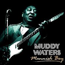 Mannish boy – Muddy Waters