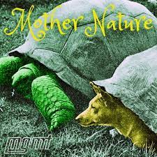 Mother Nature – MGMT