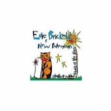 Edie Brickell & New Bohemians, Shooting Rubberbands at the Stars