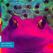 Kiss that frog – Peter Gabriel