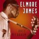 Dust my broom – Elmore James