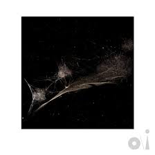 Put the bucket down – Peter Gabriel