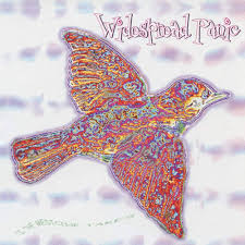 'Til the Medicine Takes – Widespread Panic