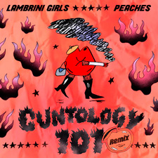 Cuntology-101-–-Lambrini-Girls